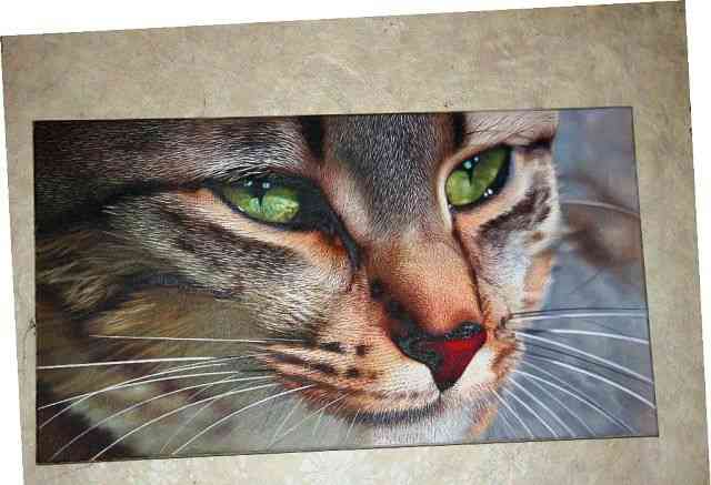 Картина "Кошка" полотно 90х50см. художник Богуслав