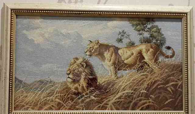 Картина "львы на привале". Вышивка крестом, в раме