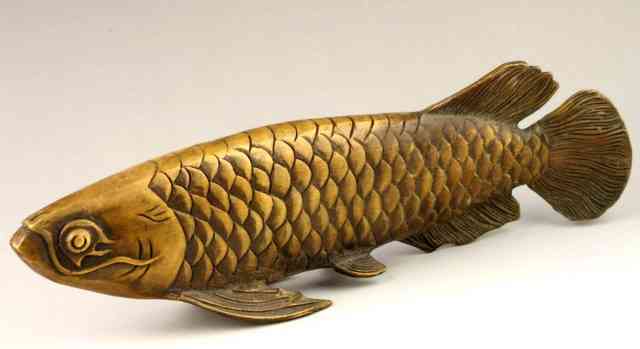 Рыба Аравана (Арована) бронзовая