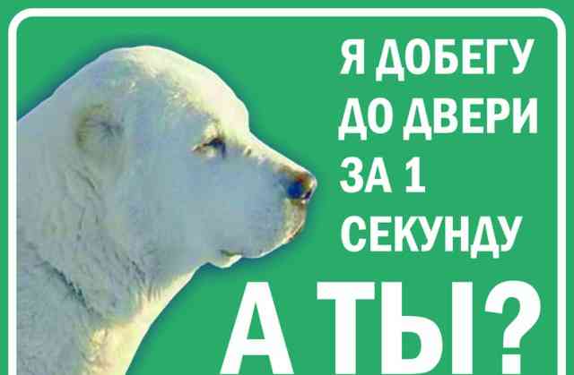 Табличка с фотографией Вашей собаки
