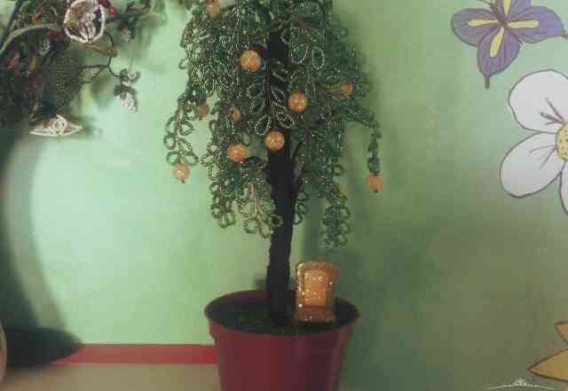 Апельсиновое деревце