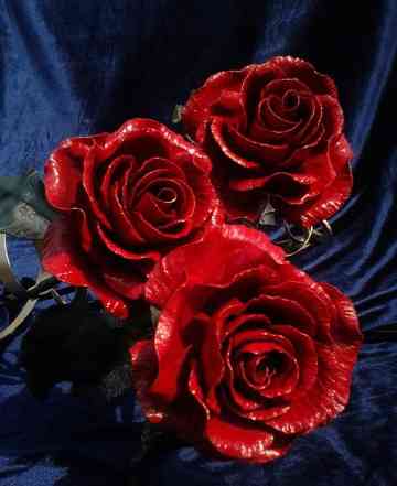 Стальные красавицы - розы