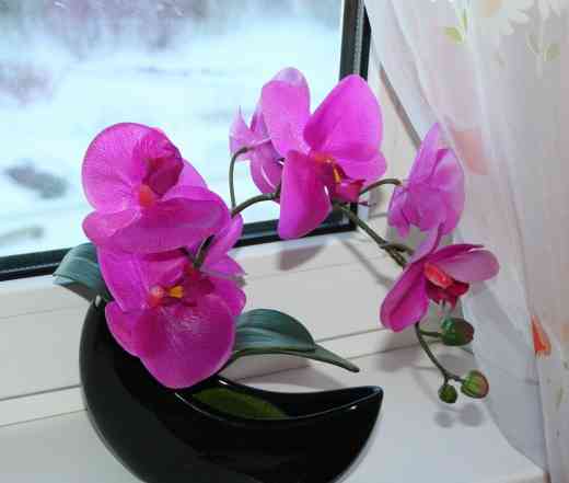 Орхидея, черное кашпо