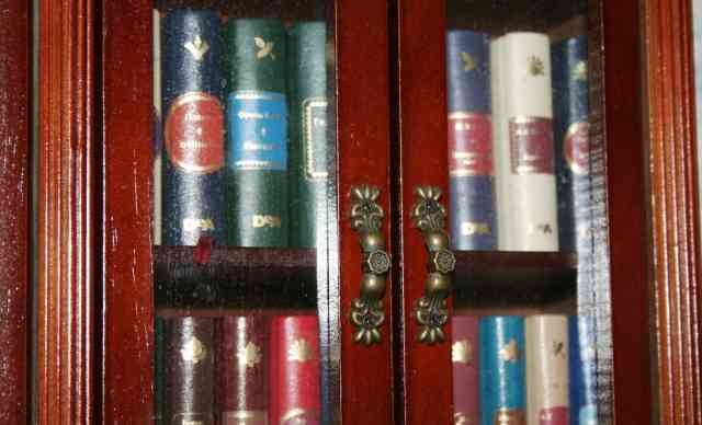 Книжный шкаф с книгами (миниатюра)
