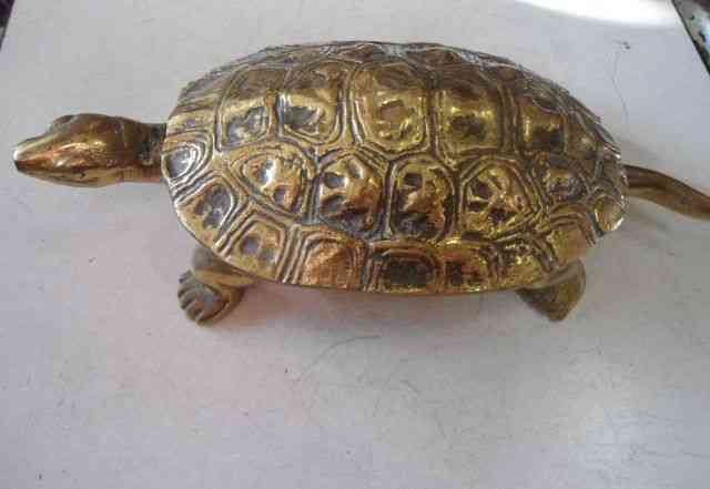 Шкатулка-черепаха