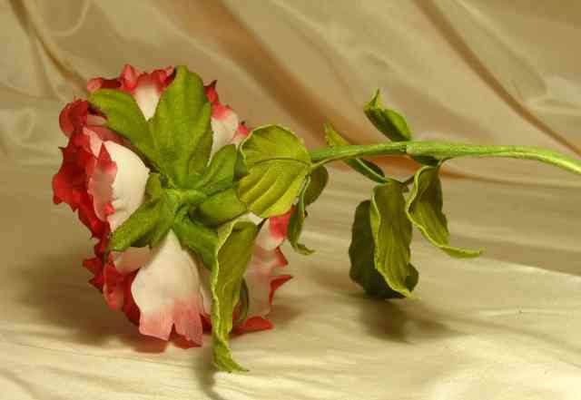 Цветы из шелка Роза Фея