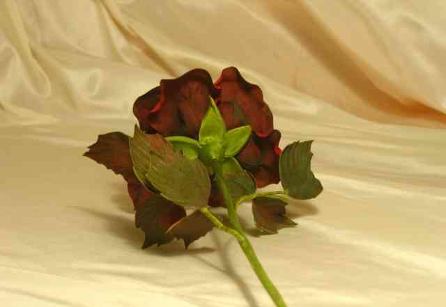 Цветы из шелка Роза Черная магия
