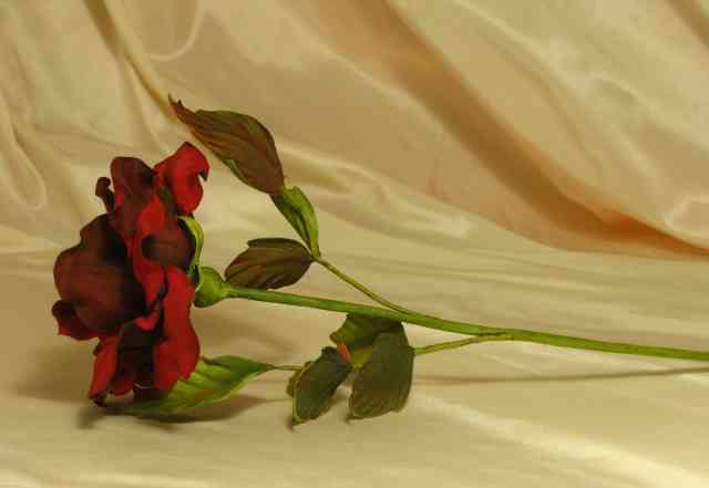 Цветы из шелка Роза Черная магия