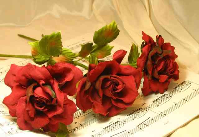 Шелковые розы песня